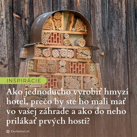 Ilustrácia hmyzieho domčeka s rôznymi výplňami