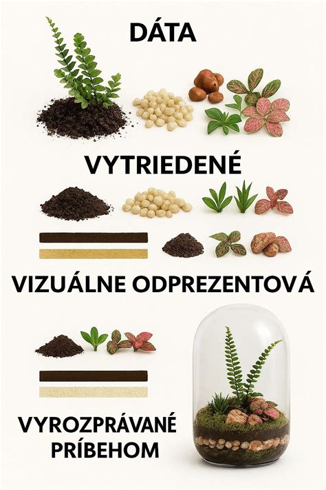 Príklady rastlinných terárií