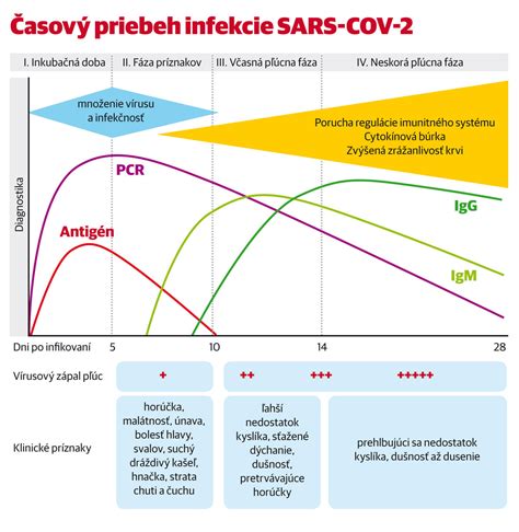 Priebeh infekcie HPV a jej progresia do rakoviny