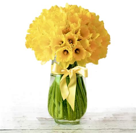 Kytica tulipánov a narcisov vo vysokej váze