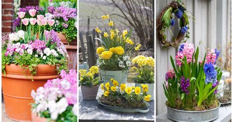 Rôzne typy váz a nádob vhodných na jarné aranžmány