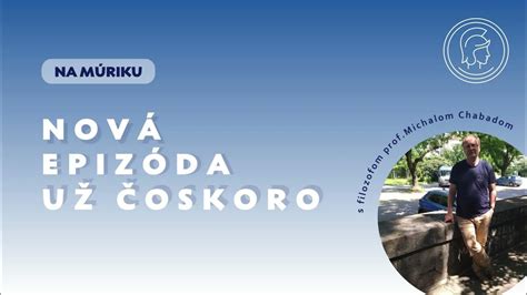 ukážka pôdopokryvného floxu na suchom múriku