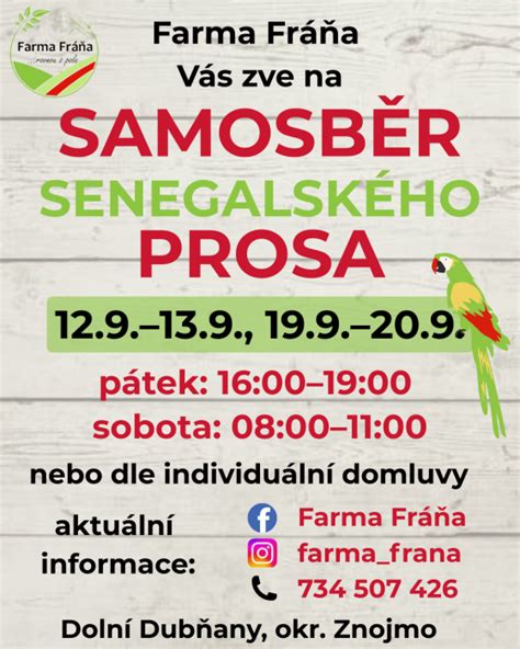 Výsev senegalského prosa