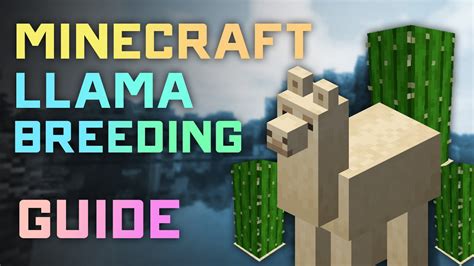 Lama potulného obchodníka v Minecrafte