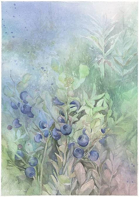 Ilustrácia rastúcej čučoriedky