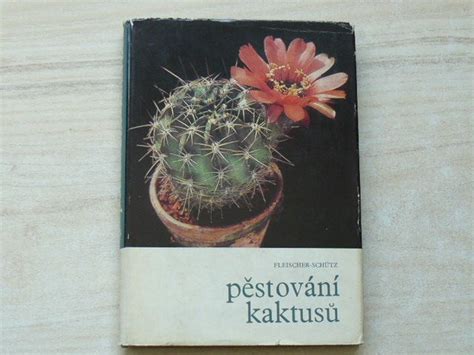 Schéma štepenia kaktusu