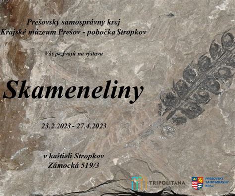 Staroveké skameneliny ruže