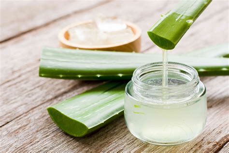Video návod na spracovanie Aloe Vera