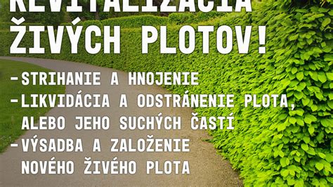 Príklady kvitnúcich živých plotov