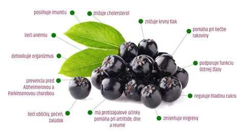 Infografika: Zdravotné benefity arónie
