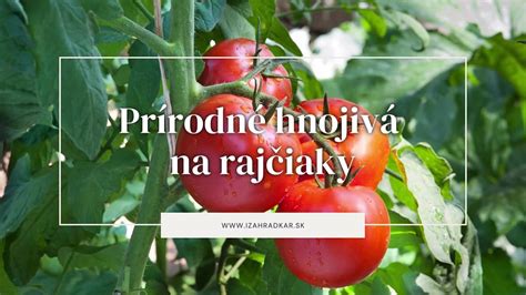 Zloženie substrátu pre rajčiaky - infografika
