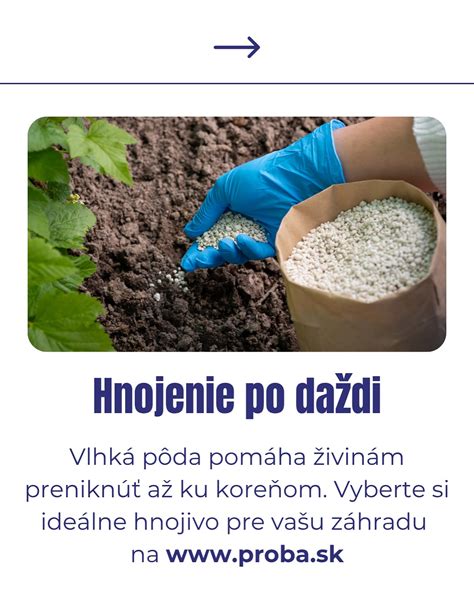 Ideálne stanovište a pôda pre tuje