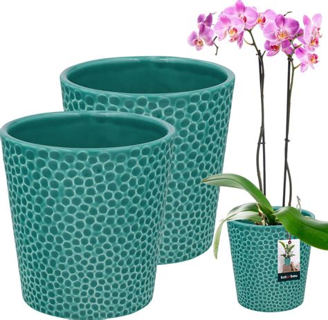 Porovnanie rôznych typov kvetináčov pre orchidey (keramika, plast, sklo)
