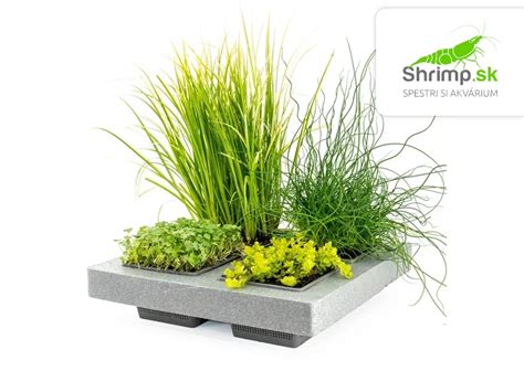 košíky na výsadbu vodných rastlín do jazierka