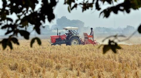 Poľnohospodárske škody spôsobené suchom a škodcami
