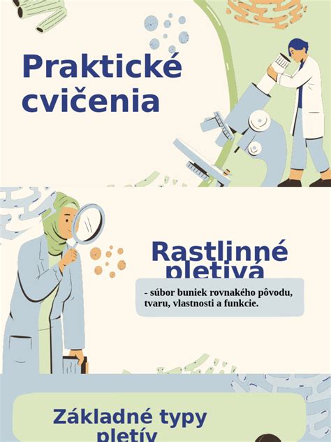 Ilustrácia prieduchov na liste rastliny