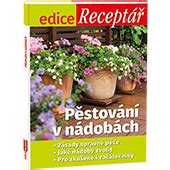 Ruže pestované v nádobách na terase