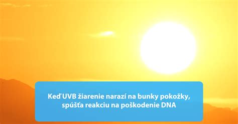 Infografika o správnom umiestnení paradajok na slnku