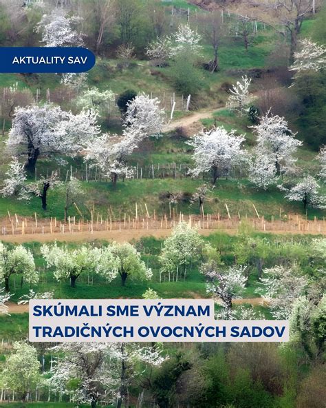 Ekologický význam ovocných sadov
