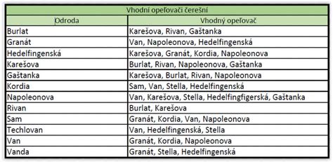 Tabuľka s prehľadom obľúbených odrôd verbeny a ich vlastností
