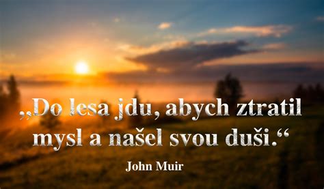Slávne citáty o ružiach