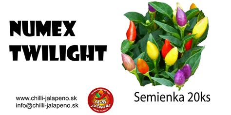 Porovnanie dvoch rastlín chilli (Jalapeno Senorita) pri rôznej intenzite svetla