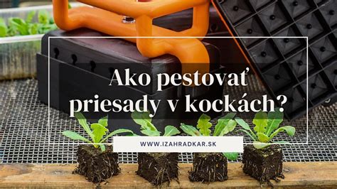 Rôzne typy nádob na predpestovanie priesad