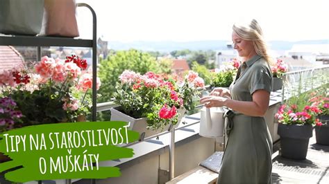 starostlivosť o balkónové rastliny