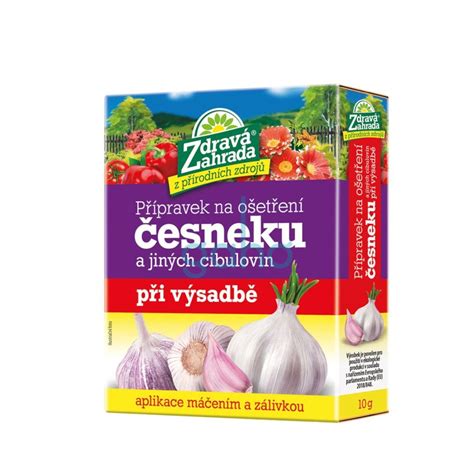 Semená cesnaku