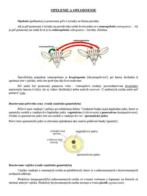 opelenie kvetov rajčín