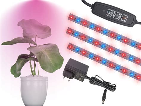LED osvetlenie pre rastliny