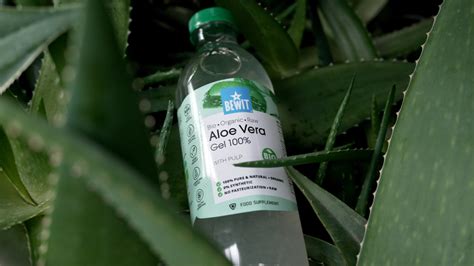 Ilustrácia rastliny Aloe Vera s detailom listu