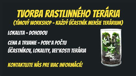 Schéma fungovania uzavretého rastlinného terária