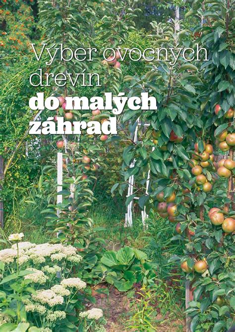 Príklady rastlín vhodných do vlhkých záhrad