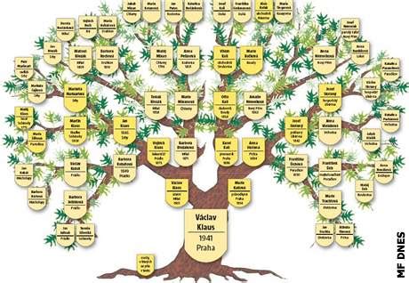 Genealogický strom rodiny Aslanbeyovcov a Şadoğluovcov