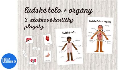 Schéma účinkov fialky na ľudské telo