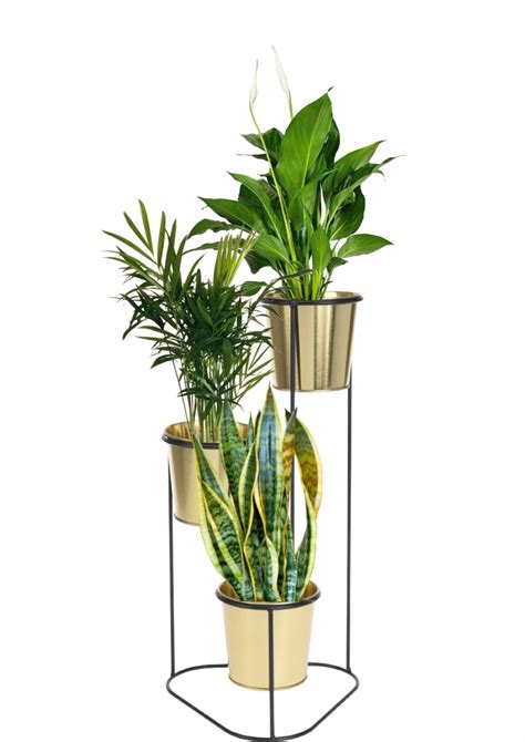 Štýlové kvetináče na stojane