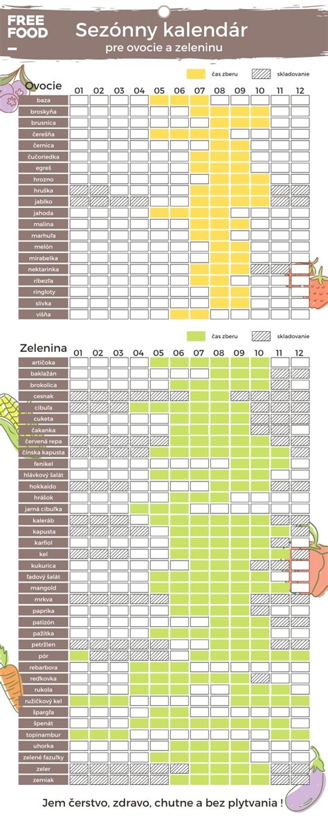 Infografika: Sezónny kalendár starostlivosti o ružu pôdopokryvnú