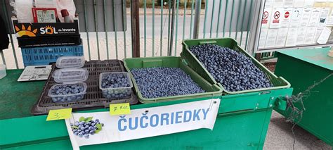 Výber tropického ovocia na dominikánskom trhu