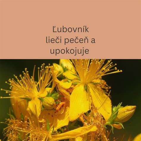 Mladé listy štiavu