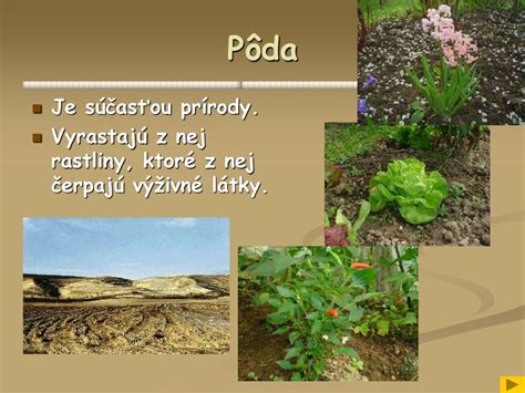 Prehľad typov pôdy: piesok, hlina, íl