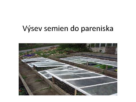 Ilustrácia výsevu semien do riadkov