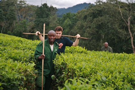 Turisti na čajovej plantáži
