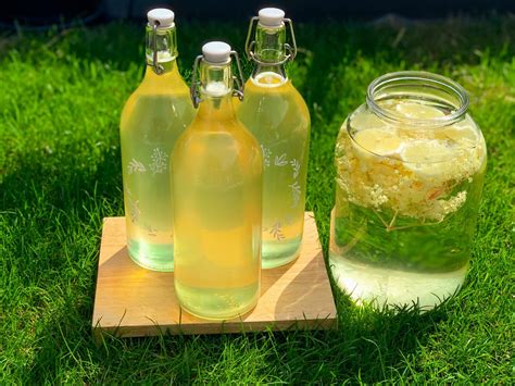 Domáci bazový sirup vo fľašiach s plátkami citróna