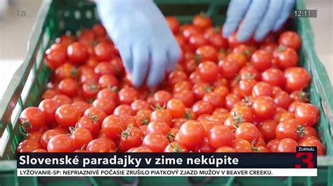 Rôzne typy opôr pre vysoké paradajky