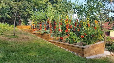 Infografika s prehľadom zeleniny a ovocia vhodného pre pestovanie v nádobách