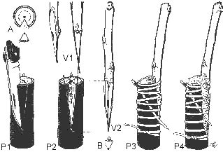 Schéma štepenia do rázštepu
