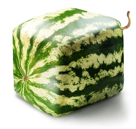 Rôzne odrody vodových melónov