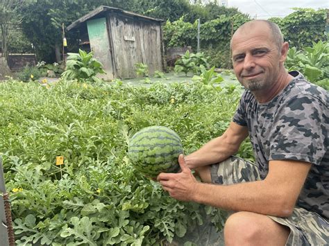 Ideálne stanovište pre pestovanie melónov