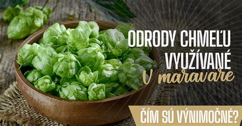 Rôzne odrody chmeľu pestované v Českej republike